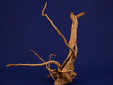 aquarium-wurzel-redwood-moorholz-rh2784