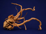 aquarium-wurzel-redwood-moorholz-rh2785