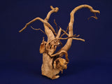 Redwood, Aquarium Wurzel, Größe "L", Premium, RH2785