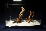aquarium-wurzel-redwood-moorholz-rh2788