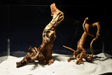 Redwood, Aquarium Wurzeln, 2er Set, RH2788
