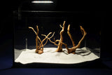 aquarium-wurzel-redwood-moorholz-rh2790