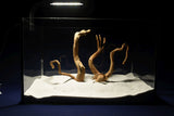 aquarium-wurzel-redwood-moorholz-rh2791