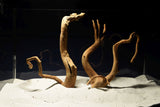 Redwood, Aquarium Wurzeln, 2er Set, RH2791