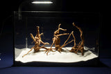 aquarium-wurzel-redwood-moorholz-rh2793