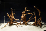 Redwood, Aquarium Wurzeln, 3er Set, RH2793