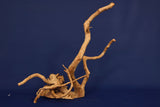 aquarium-wurzel-redwood-moorholz-rh2795