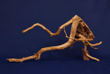 Redwood, Aquarium Wurzel, Größe "L", Premium, RH2795