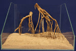 Aquascaping- Set - Pionierholz Talawa - Aquarium Landschaft TE794