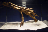 Talawa Pionierholz, Aquarium Wurzel, Größe "M", Premium - TE799