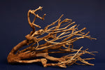 Pioneer Wood, Teewood, Aquarium Root, Size "L", Exclusive - TE527