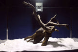 Black Root, Aquarium Wurzel, ähnlich Moorkienholz BL51