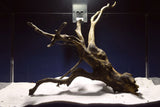 Black Root, Aquarium Wurzel, ähnlich Moorkienholz BL59