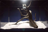 Black Root, Aquarium Wurzel, ähnlich Moorkienholz BL63