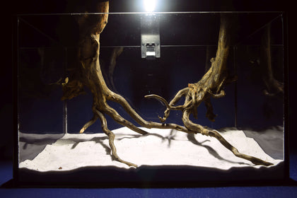 black-root-aquarium-wurzel-kaufen-65