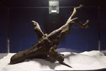 Black Root, Aquarium Wurzel, ähnlich Moorkienholz BL69