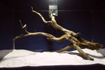 Black Root, Aquarium Wurzel, ähnlich Moorkienholz BL70