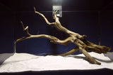Black Root, Aquarium Wurzel, ähnlich Moorkienholz BL70