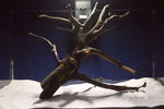 black-root-aquarium-wurzel-kaufen-71