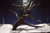 black-root-aquarium-wurzel-kaufen-71