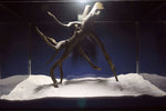 Black Root, Aquarium Wurzel, ähnlich Moorkienholz BL71