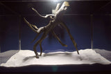 Black Root, Aquarium Wurzel, ähnlich Moorkienholz BL71