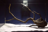 Black Root, Aquarium Wurzel, ähnlich Moorkienholz BL76