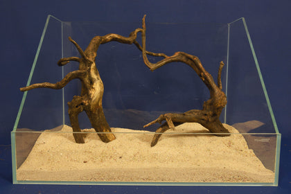 black-root-aquarium-wurzel-kaufen-96