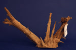 Corbo Wood / Aquarium Wurzel C05