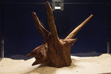 Corbo Wood / Aquarium Wurzel C100