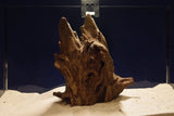 corbo-wood-aquarium-wurzel-kaufen-104