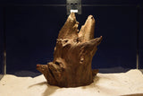 Corbo Wood / Aquarium Wurzel C104