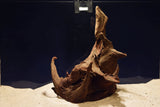 corbo-wood-aquarium-wurzel-kaufen-106