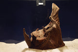 Corbo Wood / Aquarium Wurzel C106