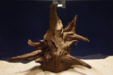 corbo-wood-aquarium-wurzel-kaufen-108