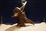 Corbo Wood / Aquarium Wurzel C108