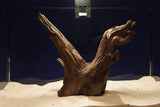corbo-wood-aquarium-wurzel-kaufen-111