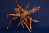 Corbo Wood / Aquarium Wurzel C112