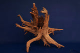Corbo Wood / Aquarium Wurzel C112
