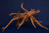 Corbo Wood / Aquarium Wurzel C112