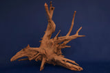 Corbo Wood / Aquarium Wurzel C113