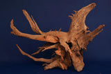 Corbo Wood / Aquarium Wurzel C113
