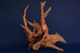 Corbo Wood / Aquarium Wurzel C113