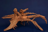Corbo Wood / Aquarium Wurzel C113