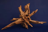 Corbo Wood / Aquarium Wurzel C114