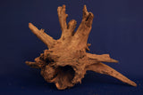 Corbo Wood / Aquarium Wurzel C114