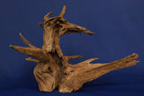 corbo-wood-aquarium-wurzel-kaufen-115