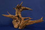 Corbo Wood / Aquarium Wurzel C115