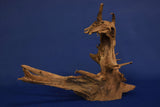 Corbo Wood / Aquarium Wurzel C115