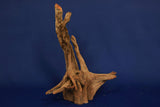 corbo-wood-aquarium-wurzel-kaufen-116